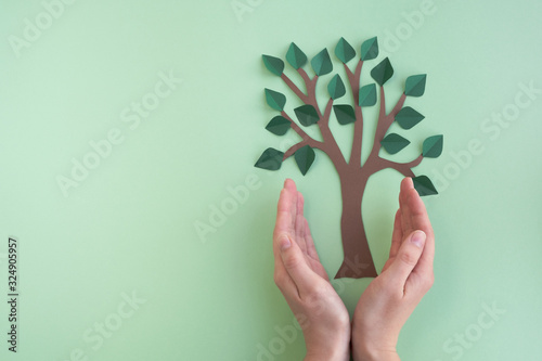Womans hands hold tree on light green background. Ecology and earth day concept. Top view, flat lay, copy space
