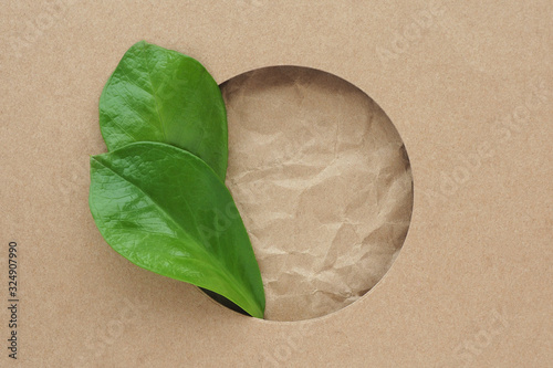 .Two dark green large glossy sheets protrude from a round hole in kraft paper. Crumpled craft paper inside the frame. Space for text..