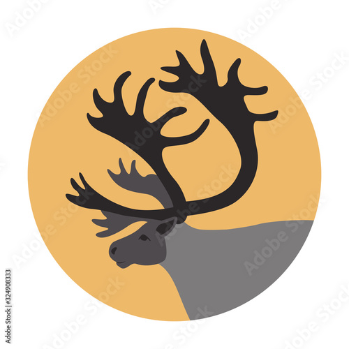 polar deer head,vector illustration, flat