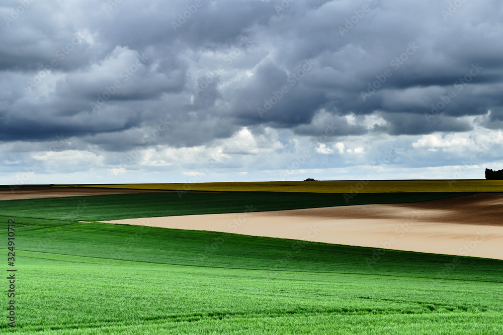 Obraz premium green field and blue sky