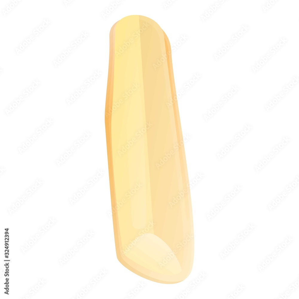 Food parsnip icon. Cartoon of food parsnip vector icon for web design isolated on white background Food parsnip icon. Cartoon of food parsnip vector icon for web design isolated on white background