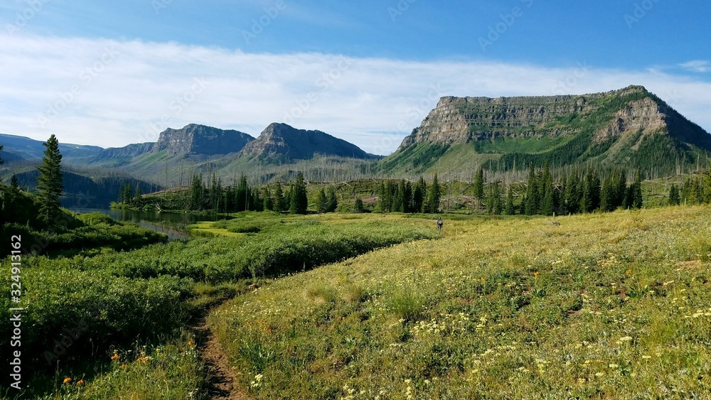mountain meadow landscape