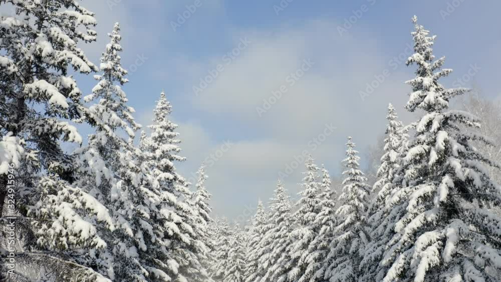 Breathtaking fly over frozen snowy fir and pine trees . Nature concept. Winter time, coziness, enjoying the landscape. No people around, wild nature Breathtaking fly over frozen snowy fir and pine trees . Nature concept. Winter time, coziness, enjoying the landscape. No people around, wild nature