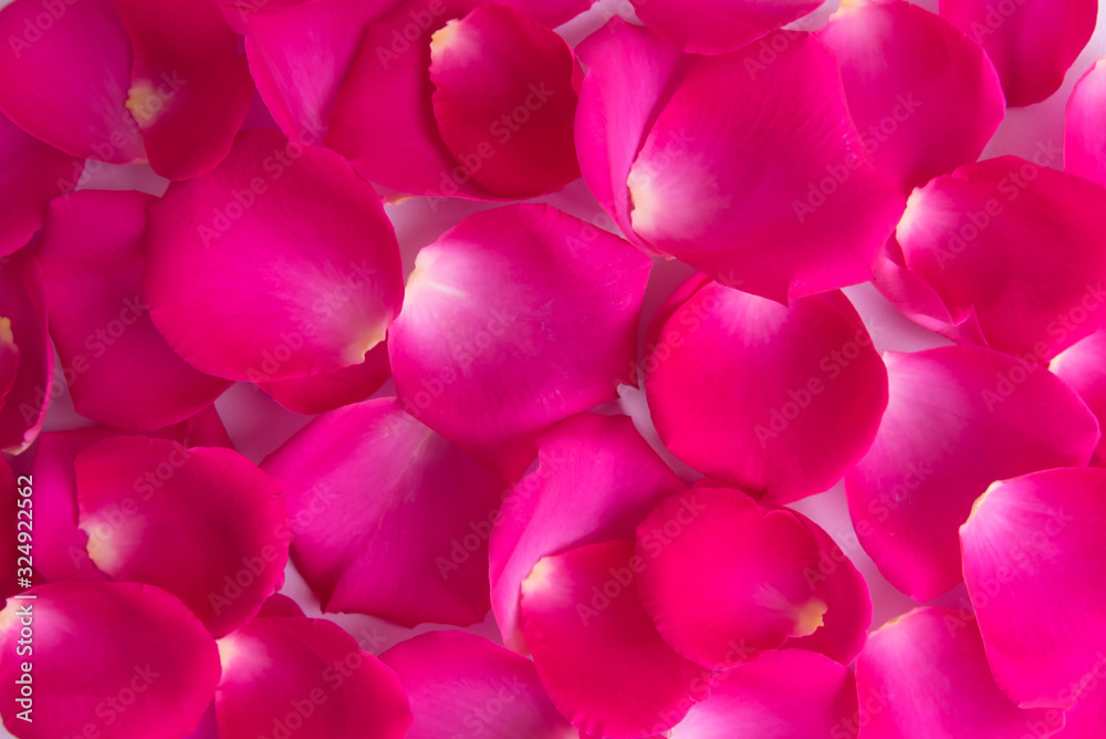 Lots of pink rose petals. The view from the top. Background, postcard, romance, wedding invitation. Lots of pink rose petals. The view from the top. Background, postcard, romance, wedding invitation.