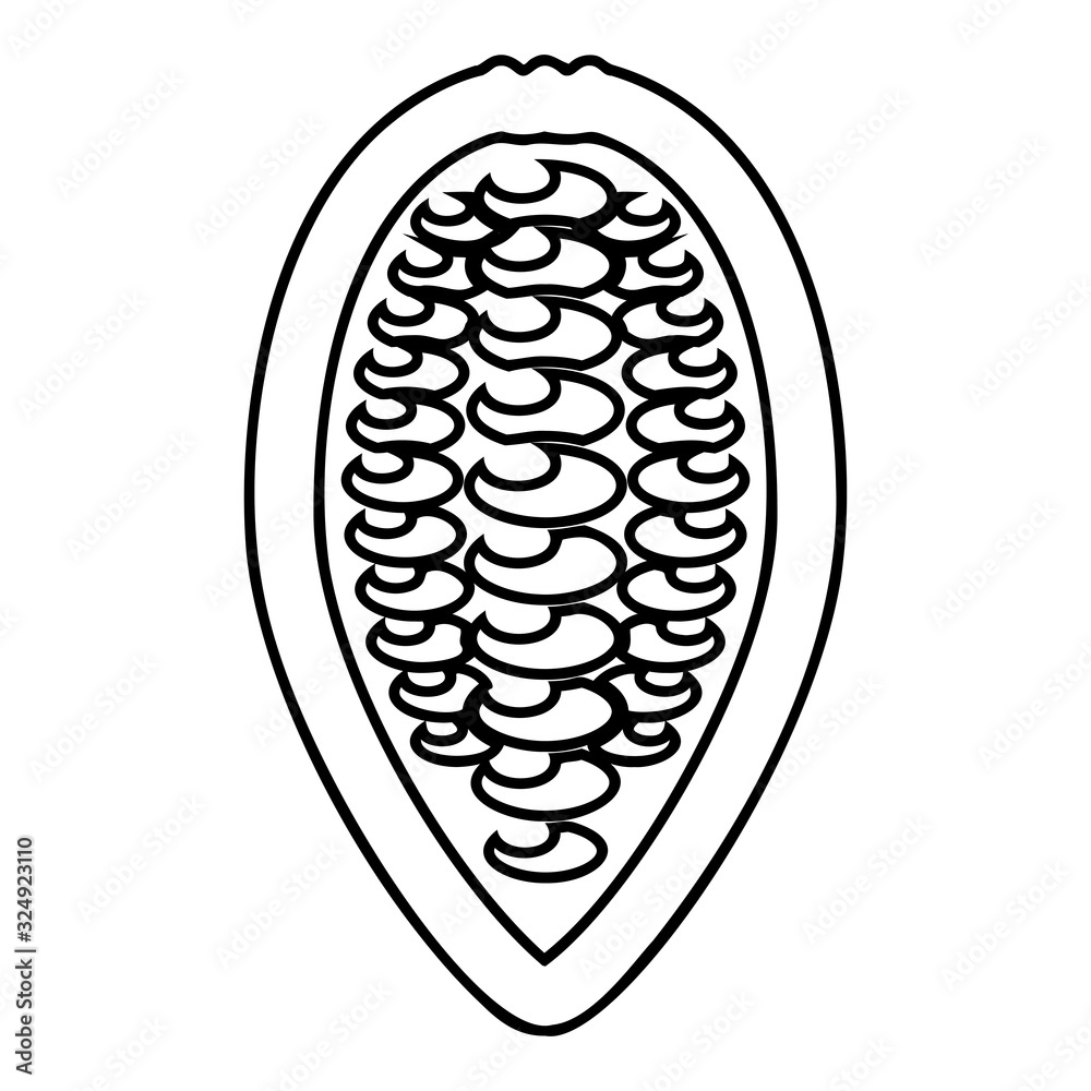Cacao bob beans Cocoa fruit Chocolate seeds icon outline black color vector illustration flat style image Cacao bob beans Cocoa fruit Chocolate seeds icon outline black color vector illustration flat style image