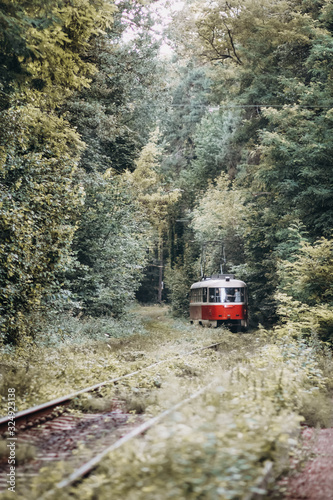 tram tracks through the forest
