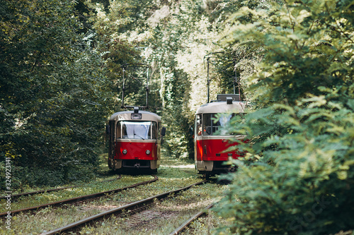 tram tracks through the forest