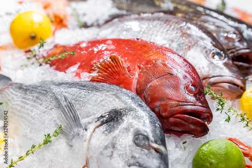 Fish, lime, lemon and rosemary on a frappe ice