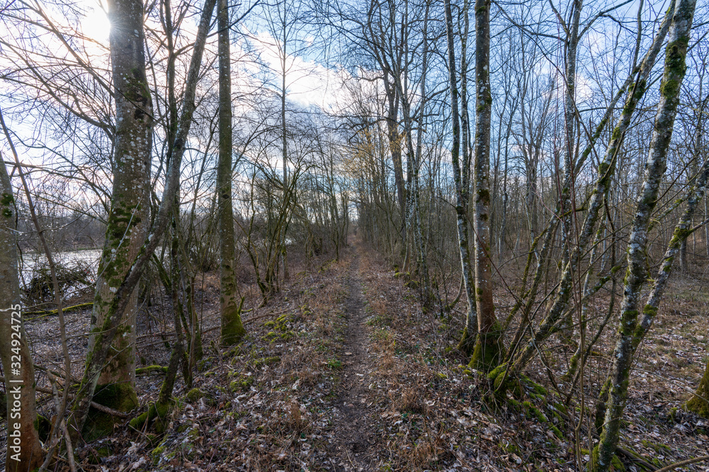 Wanderweg am Ufer der Traun im Februar