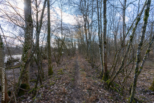 Wanderweg am Ufer der Traun im Februar