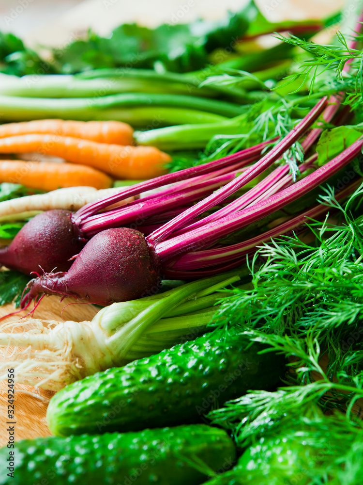 Healthy fresh vegetables from organic farm -  ingredients food market: beetroot, carrots, parsnips, parsley root, celeriac, leek and onions with shive, with fresh dill herb -  spring vegetable soup.