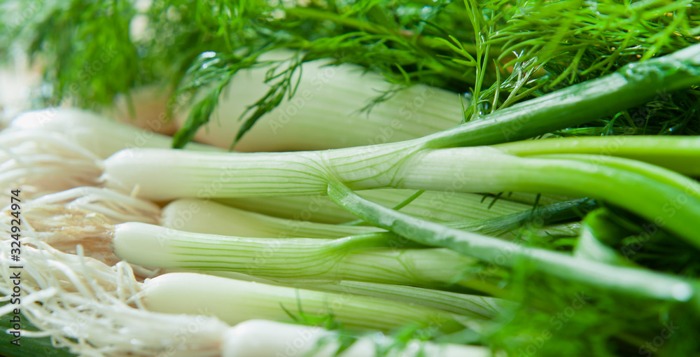 Green spring onions with chives - scallions. Healthy fresh vegetables from organic farm - ingredients of a veggie box from farm shop and real food market. Green spring onions with chives - scallions. Healthy fresh vegetables from organic farm - ingredients of a veggie box from farm shop and real food market.