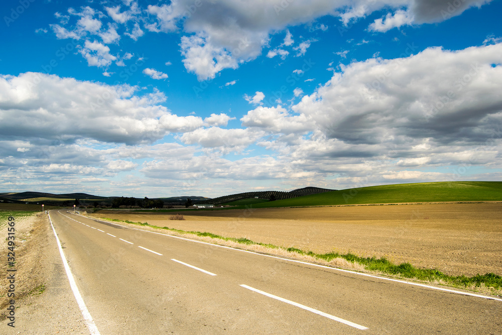 Fototapeta premium Campiña Cordobesa