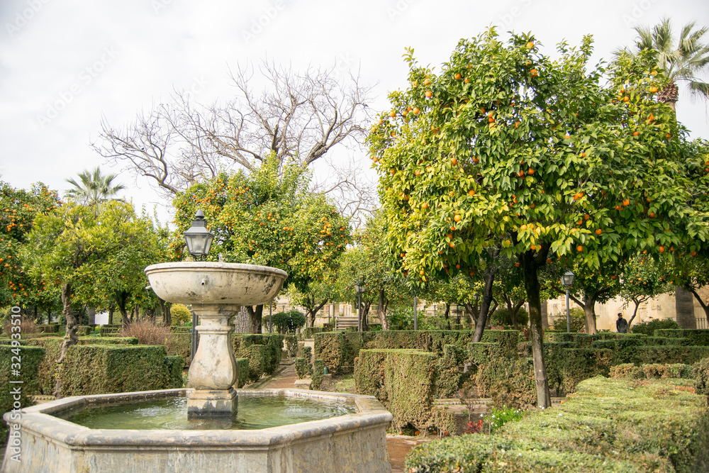 Córdoba Córdoba