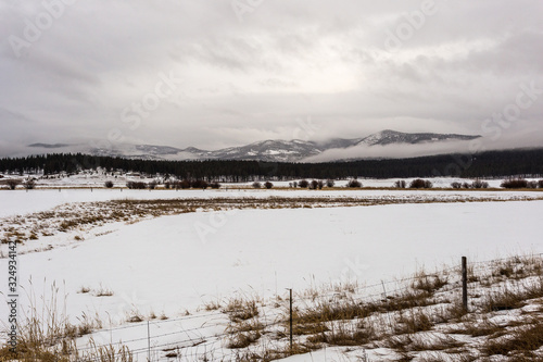 Snow covered pasture with thick tree line and fog shrouded mountain range on overcast day