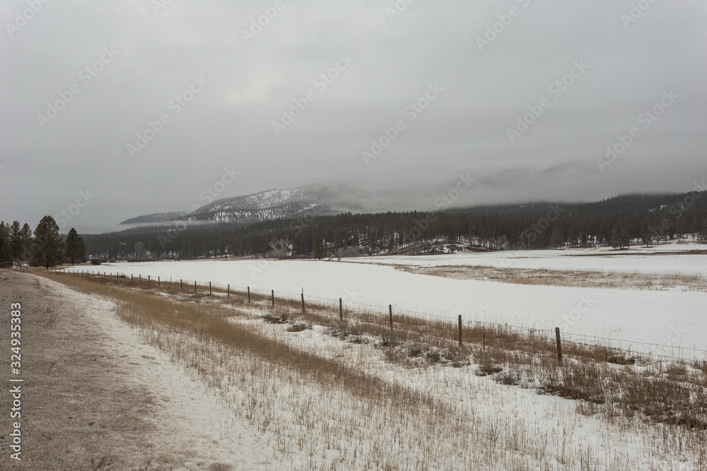 Long vintage cattle fence in snow covered field with thick forest and fog shrouded mountains on a gloomy day