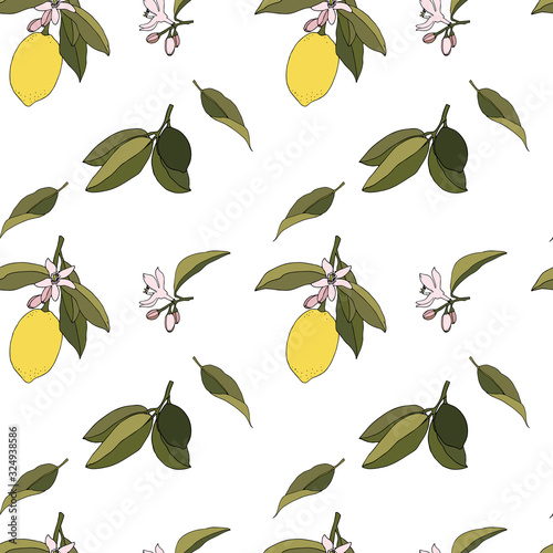 Lemons floral seamless fresh organic citrus fruits vector eps pattern on white background.
