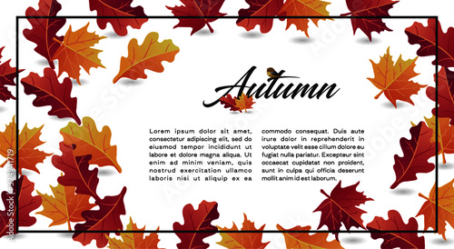 Autumn calligraphy. Seasonal lettering.web banner template.vector illustration