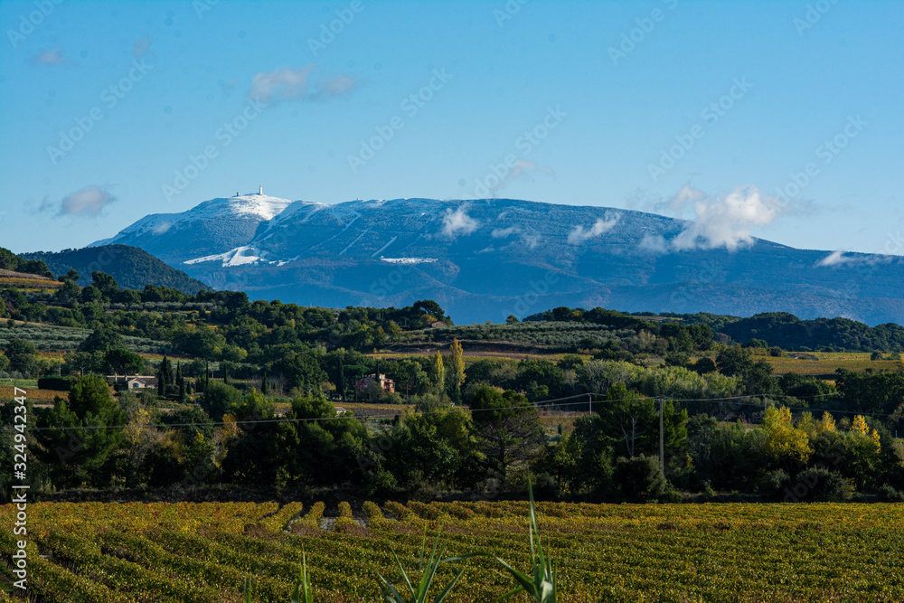 Landscape of Provence in the colours of autumn. Vineyards, hills, Mont-Ventoux its first snows.