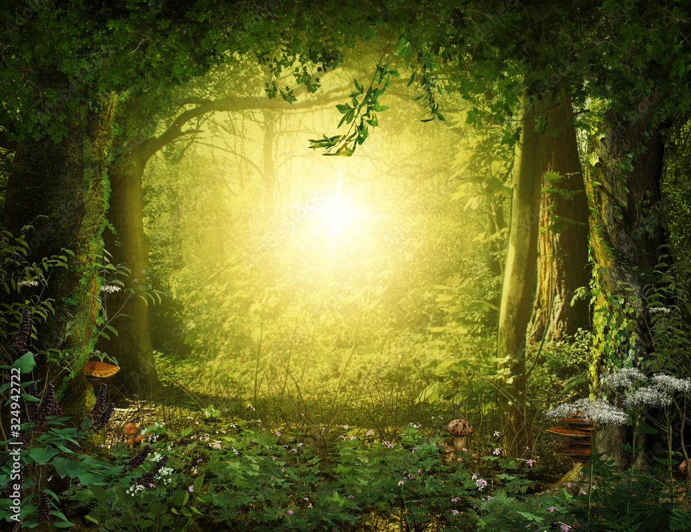 Fototapeta premium Piękny czarujący bujny las bajkowy, renderowanie 3d.
