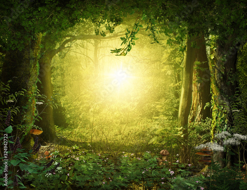 Beautiful enchanting fairy tale lush woodland, 3d render. photo