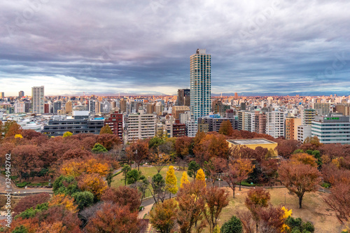 Tokyo  Japan skyline