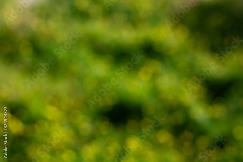 Abstract bokeh background in green, and yellow for copy space, abstract blurry wallpaper, de focus.