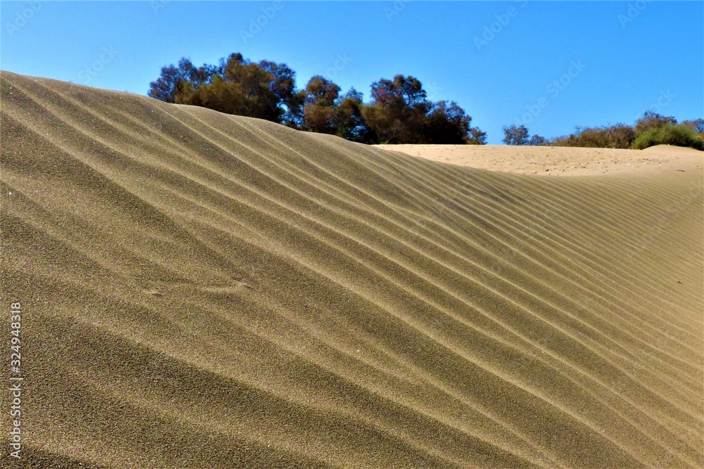 Obraz premium Dunes