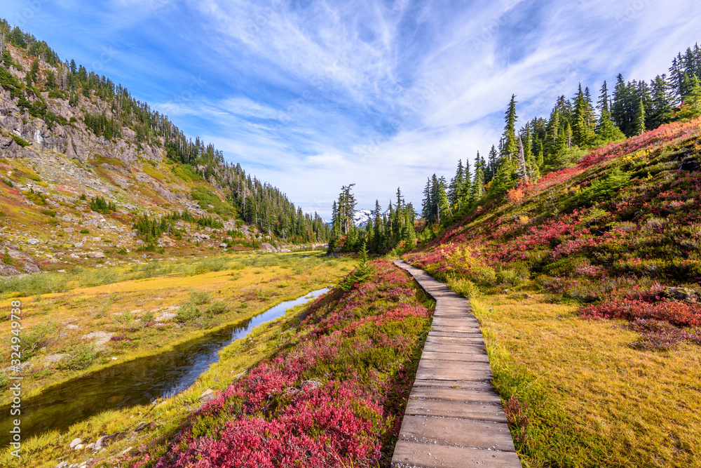 Fragment of a trail in Mount Baker Visitor Center, WA, USA. Fragment of a trail in Mount Baker Visitor Center, WA, USA.