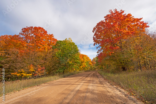 Rural Road in the Autumn Forest