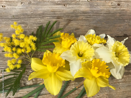 Daffodil Yellow Flowers for women's day