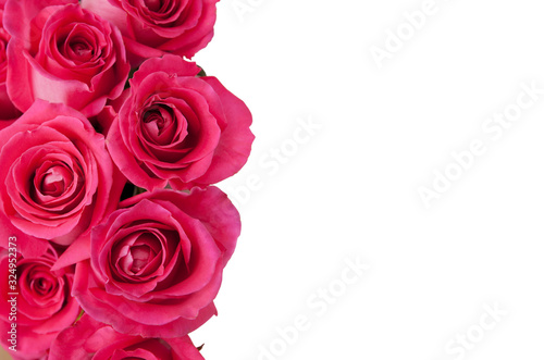 Border of pink roses isolated on white. Greetings mock up  copy space for text