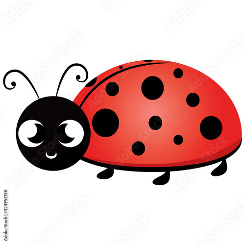 Isolated cute ladybug cartoon