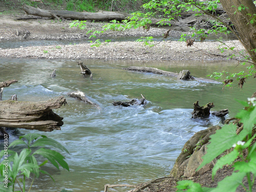 Blacklick Creek, Three Creeks Metropark, Columbus, Ohio photo