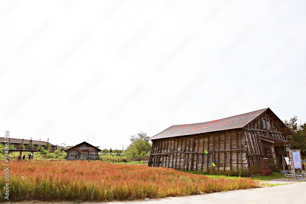 Obraz premium 여행중에찍힌것들