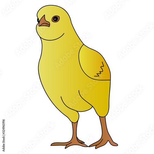 Color vector illustration of a fighting chicken ready to fight. Yellow ball. Chick on an isolated background. Cartoon style. Idea for a book, magazine, or web design. Easter mood.