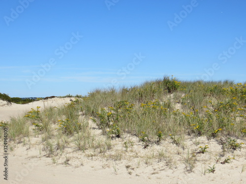 Grass covered dunes and beautiful blue sky at Shinnecock East County Park in Southampton, Long Island, NY