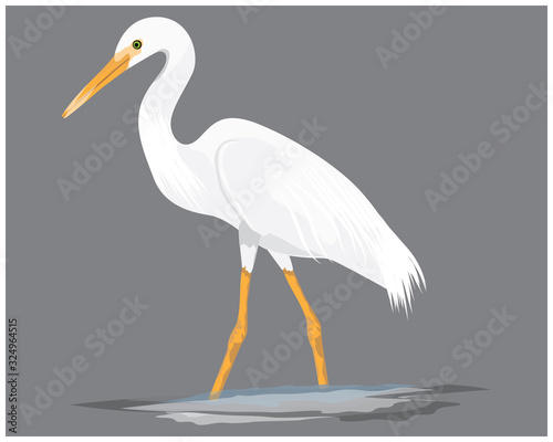 isolated white heron vector design