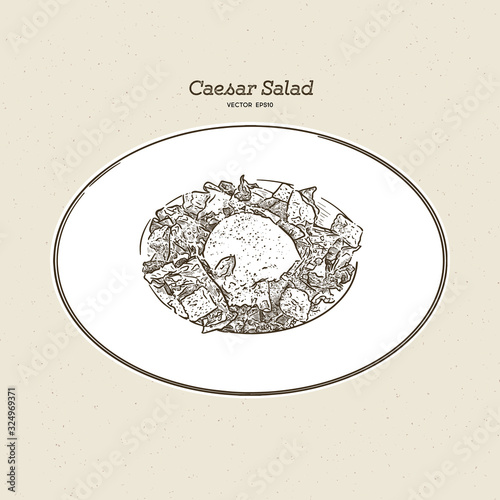 Caesar salad, hand draw sketch vector.