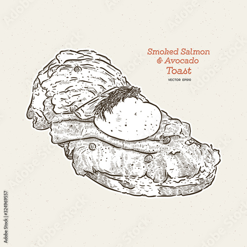Poached egg on toast, with smoked salmon and avocado, hand draw sketch vector.