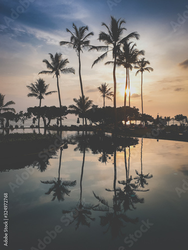 Toned photo of palm silhouettes reflecting in infinity pool water surface