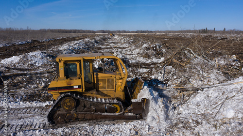 Big yellow bull dozers clearing land to make room for new farmland.