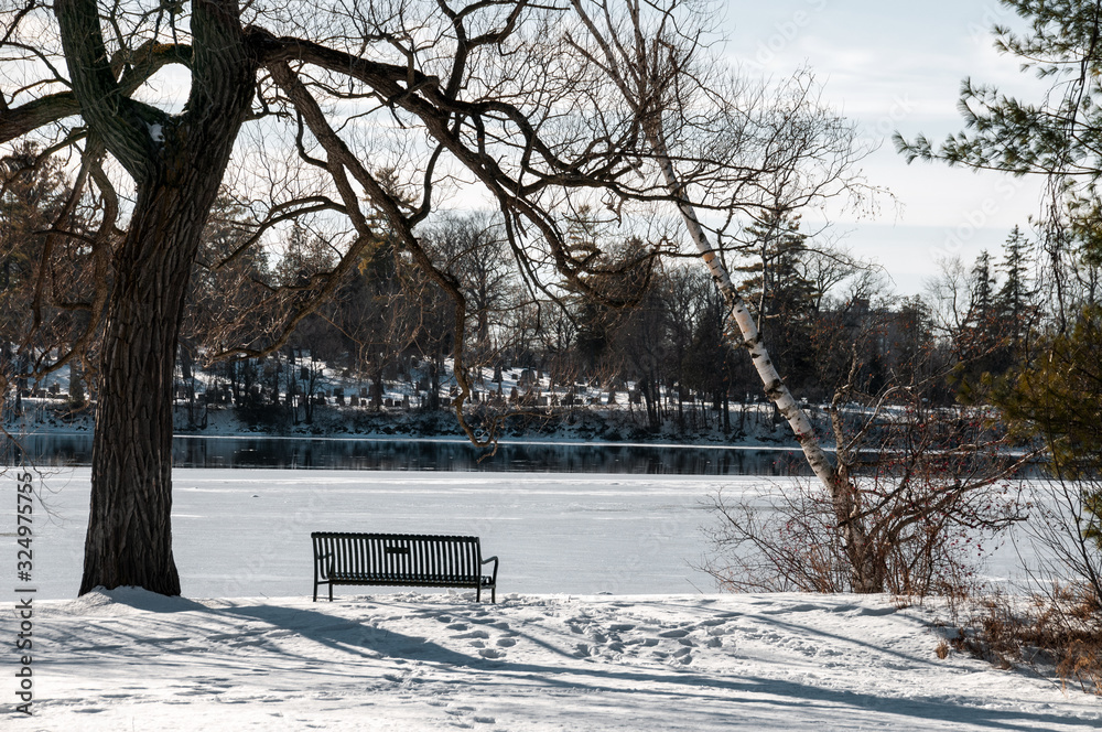 Park bench under a tree looking across Ottonabee River to cemetery