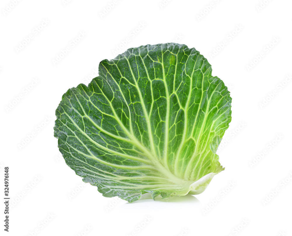 Cabbage leaf isolated on white background Cabbage leaf isolated on white background