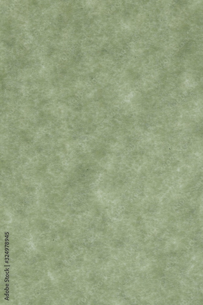 Fototapeta premium abstract splotchy grey green parchment paper background