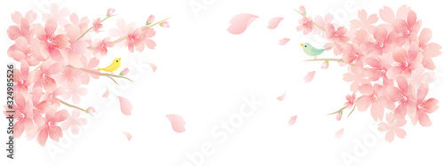 繊細な春の花　桜のベクターイラスト　spring cherry blossom　background	