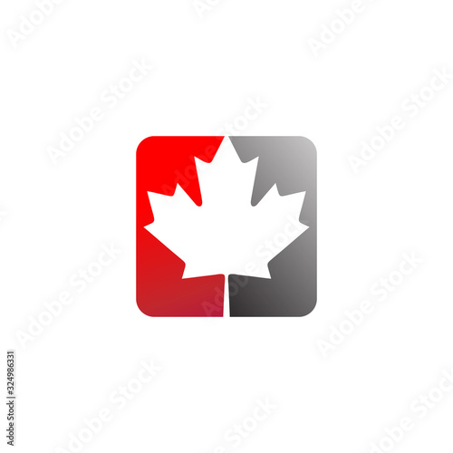 Konstfotografi maple leaf colorful vector logo illustration
