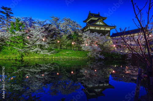 Night sakura and light up in front of Koriyama Castle, Nara, Japan photo