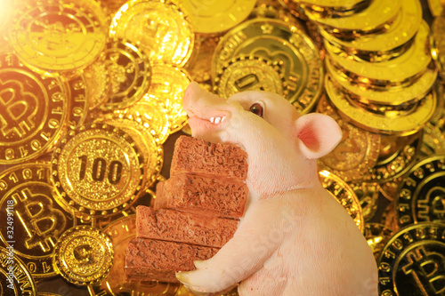 Wallpaper Mural Piggy searching for gold Torontodigital.ca