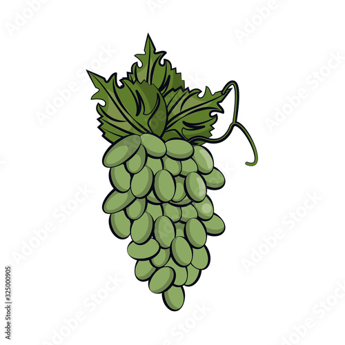 grapes fresh fruits isolated icon